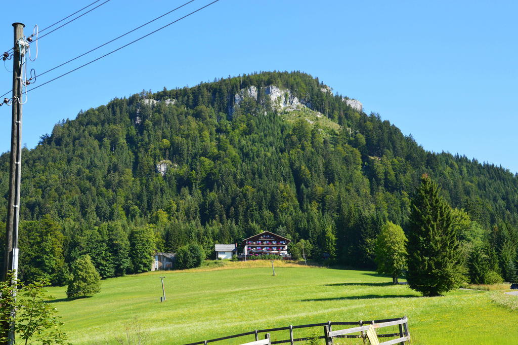 Berghotel Predigstuhl Bad Goisern Esterno foto